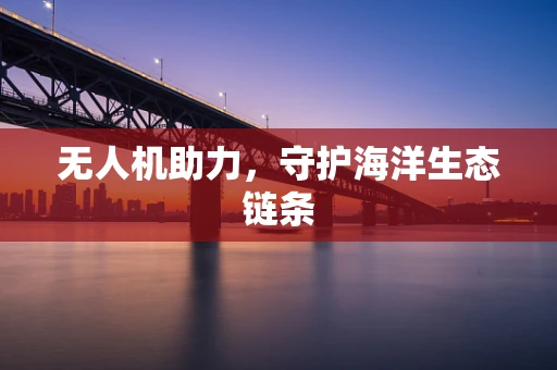 无人机助力，守护海洋生态链条