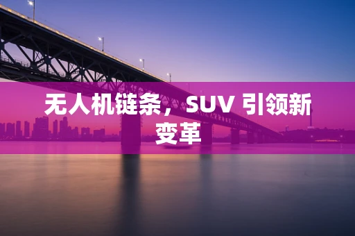 无人机链条，SUV 引领新变革