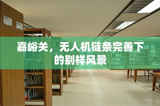嘉峪关，无人机链条完善下的别样风景