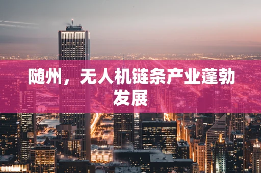 随州，无人机链条产业蓬勃发展
