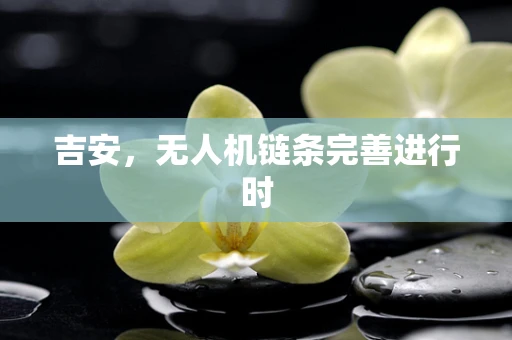 吉安，无人机链条完善进行时