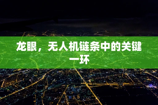 龙眼，无人机链条中的关键一环