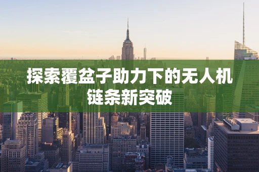 探索覆盆子助力下的无人机链条新突破