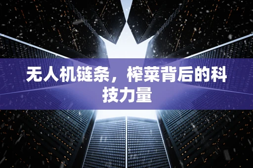 无人机链条，榨菜背后的科技力量