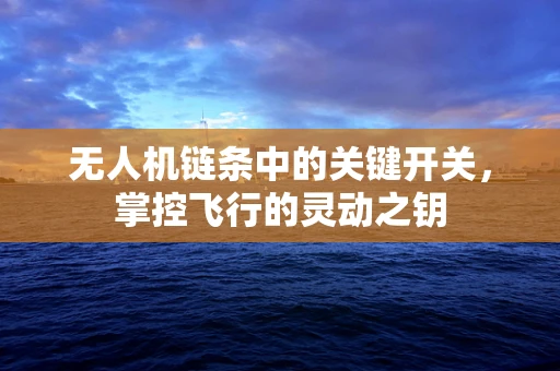 无人机链条中的关键开关，掌控飞行的灵动之钥