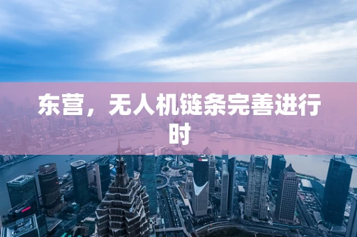 东营，无人机链条完善进行时
