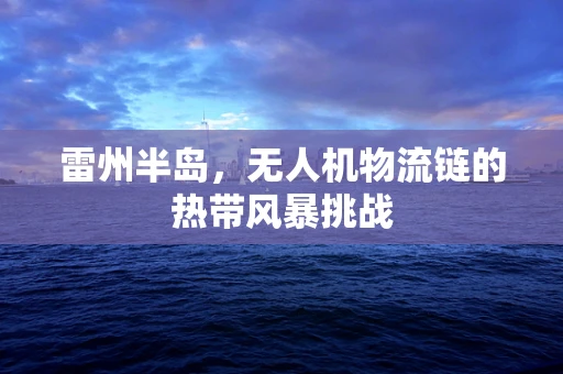 雷州半岛，无人机物流链的热带风暴挑战