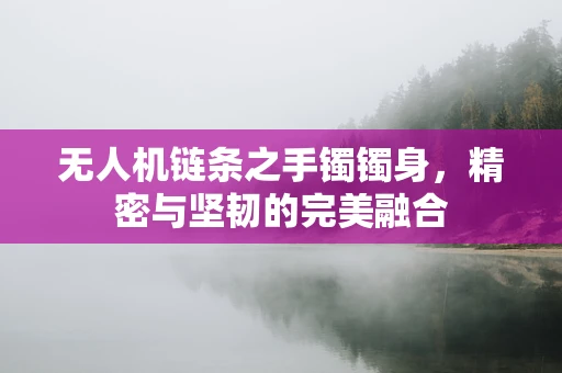 无人机链条之手镯镯身，精密与坚韧的完美融合