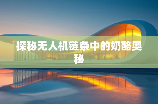 探秘无人机链条中的奶酪奥秘