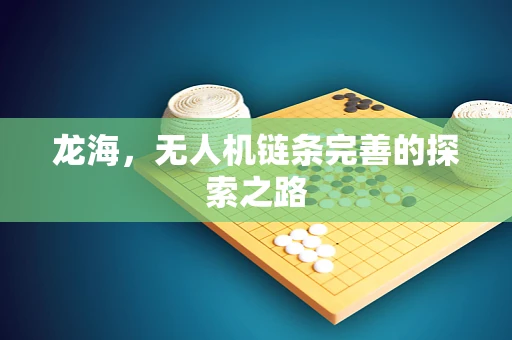 龙海，无人机链条完善的探索之路