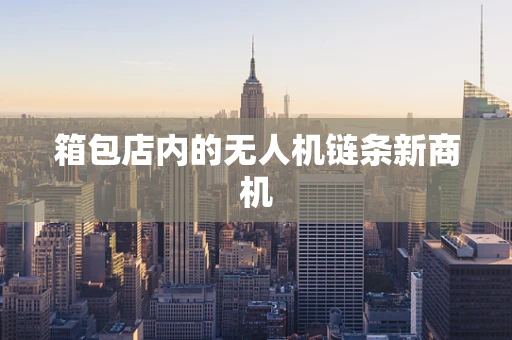 箱包店内的无人机链条新商机