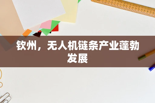 钦州，无人机链条产业蓬勃发展