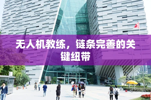 无人机教练，链条完善的关键纽带
