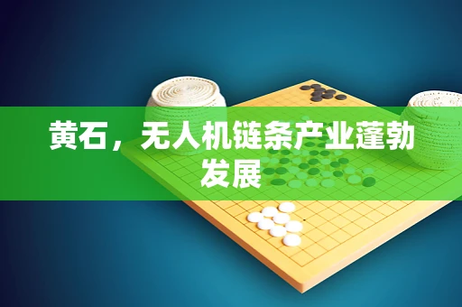 黄石，无人机链条产业蓬勃发展