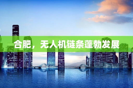 合肥，无人机链条蓬勃发展