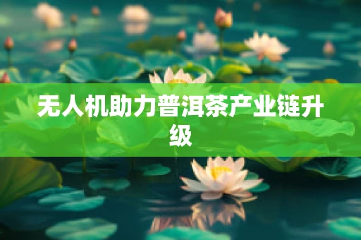 无人机助力普洱茶产业链升级