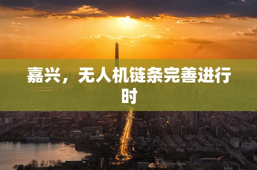 嘉兴，无人机链条完善进行时