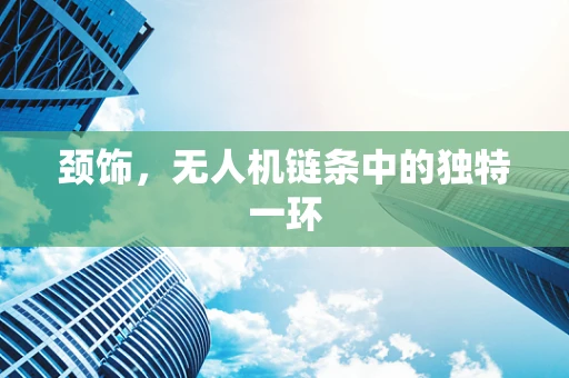颈饰，无人机链条中的独特一环