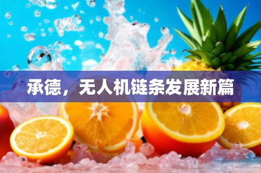 承德，无人机链条发展新篇