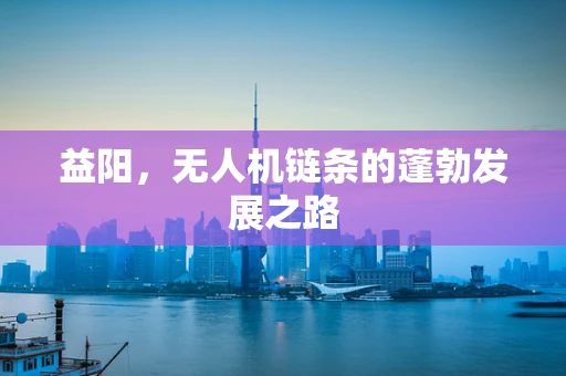 益阳，无人机链条的蓬勃发展之路