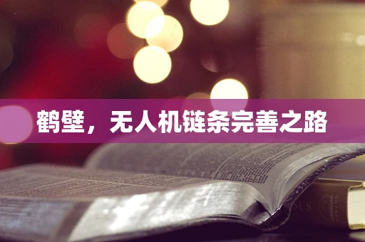 鹤壁，无人机链条完善之路