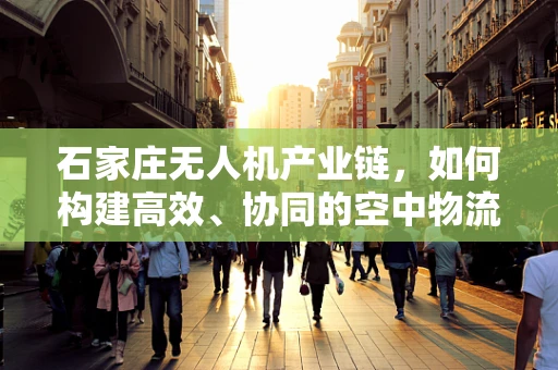石家庄无人机产业链，如何构建高效、协同的空中物流网络？