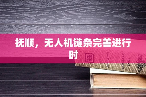 抚顺，无人机链条完善进行时