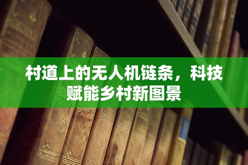 村道上的无人机链条，科技赋能乡村新图景