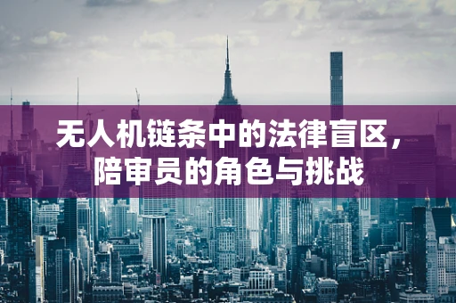 无人机链条中的法律盲区，陪审员的角色与挑战