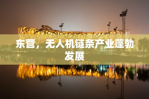 东营，无人机链条产业蓬勃发展