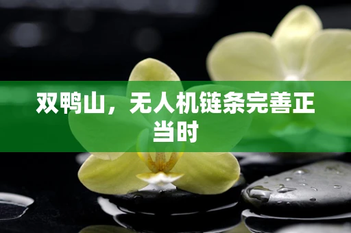 双鸭山，无人机链条完善正当时