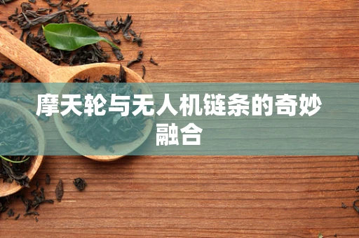 摩天轮与无人机链条的奇妙融合