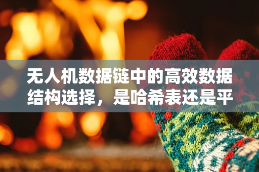 无人机数据链中的高效数据结构选择，是哈希表还是平衡树？