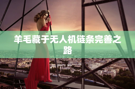 羊毛藏于无人机链条完善之路