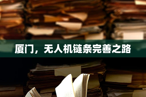 厦门，无人机链条完善之路