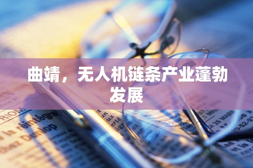 曲靖，无人机链条产业蓬勃发展