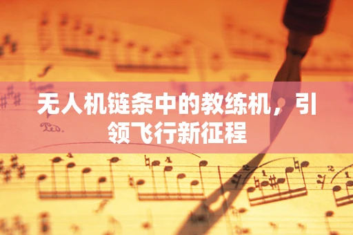 无人机链条中的教练机，引领飞行新征程
