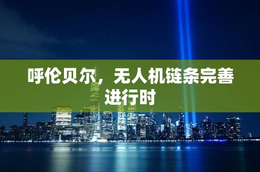 呼伦贝尔，无人机链条完善进行时