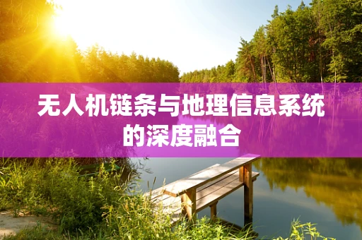 无人机链条与地理信息系统的深度融合