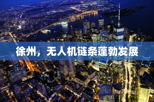 徐州，无人机链条蓬勃发展