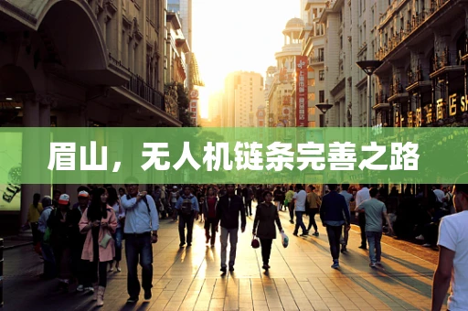 眉山，无人机链条完善之路