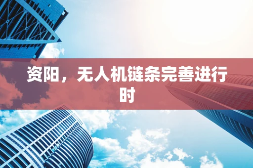 资阳，无人机链条完善进行时