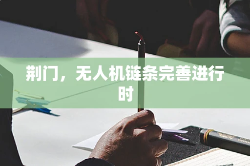 荆门，无人机链条完善进行时