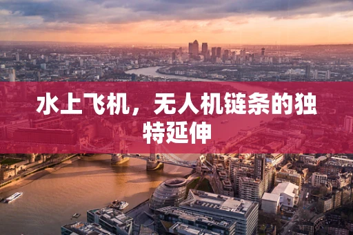 水上飞机，无人机链条的独特延伸
