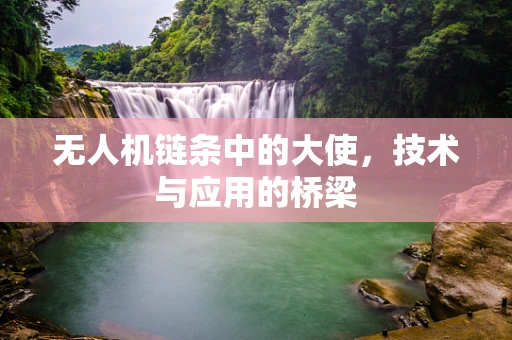 无人机链条中的大使，技术与应用的桥梁