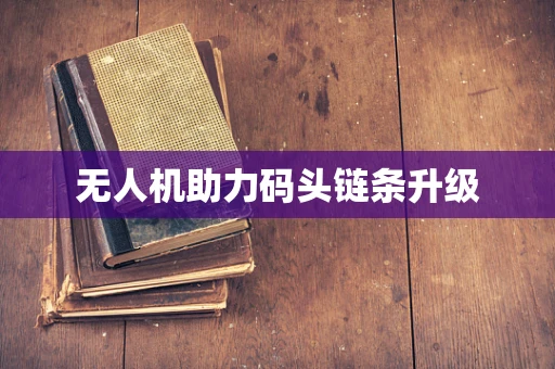 无人机助力码头链条升级