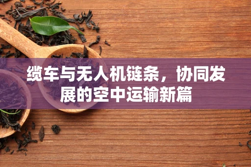 缆车与无人机链条，协同发展的空中运输新篇