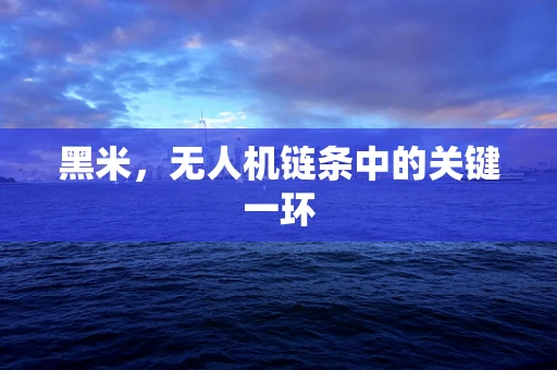 黑米，无人机链条中的关键一环