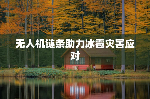 无人机链条助力冰雹灾害应对