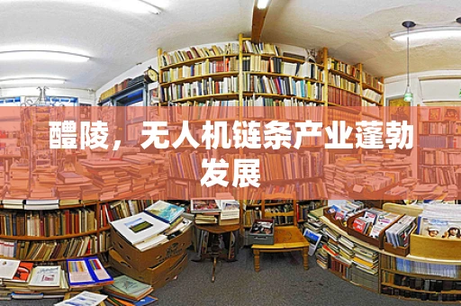 醴陵，无人机链条产业蓬勃发展